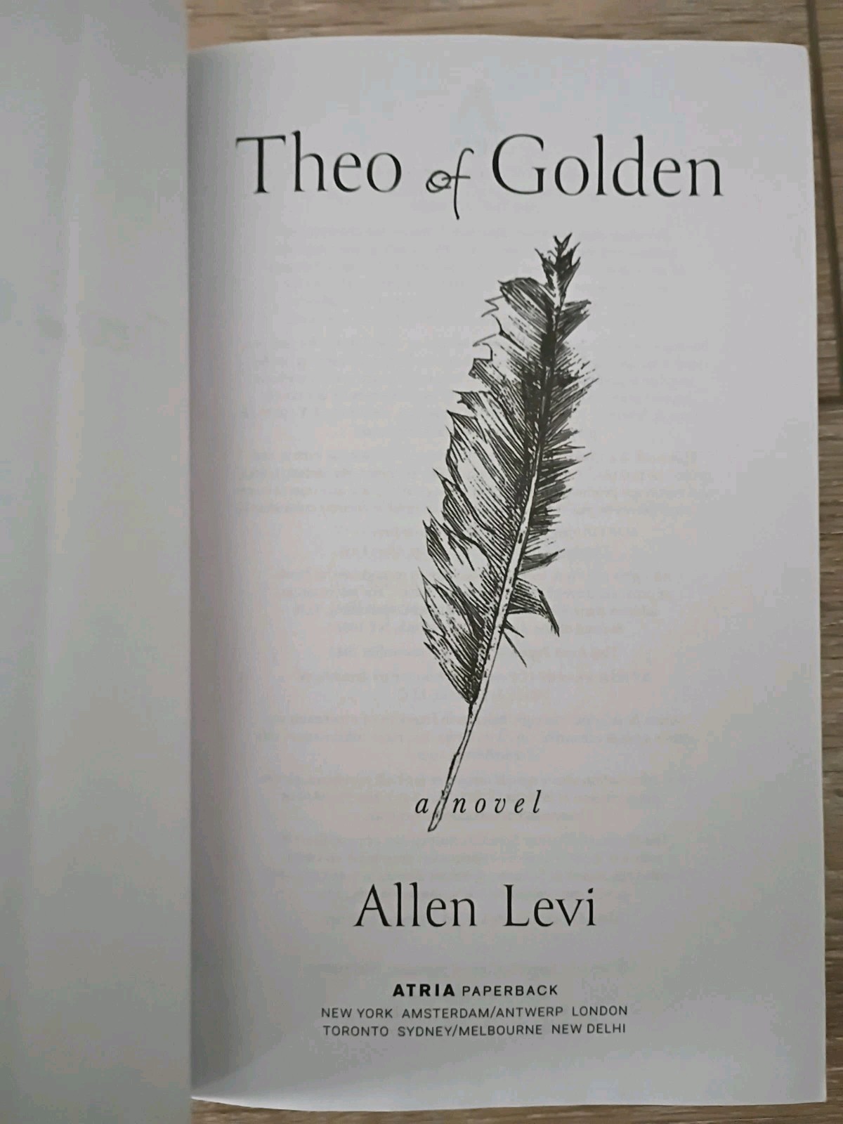 Theo of Golden: A Novel – Paperback Book by Levi Allen EXCELLENT