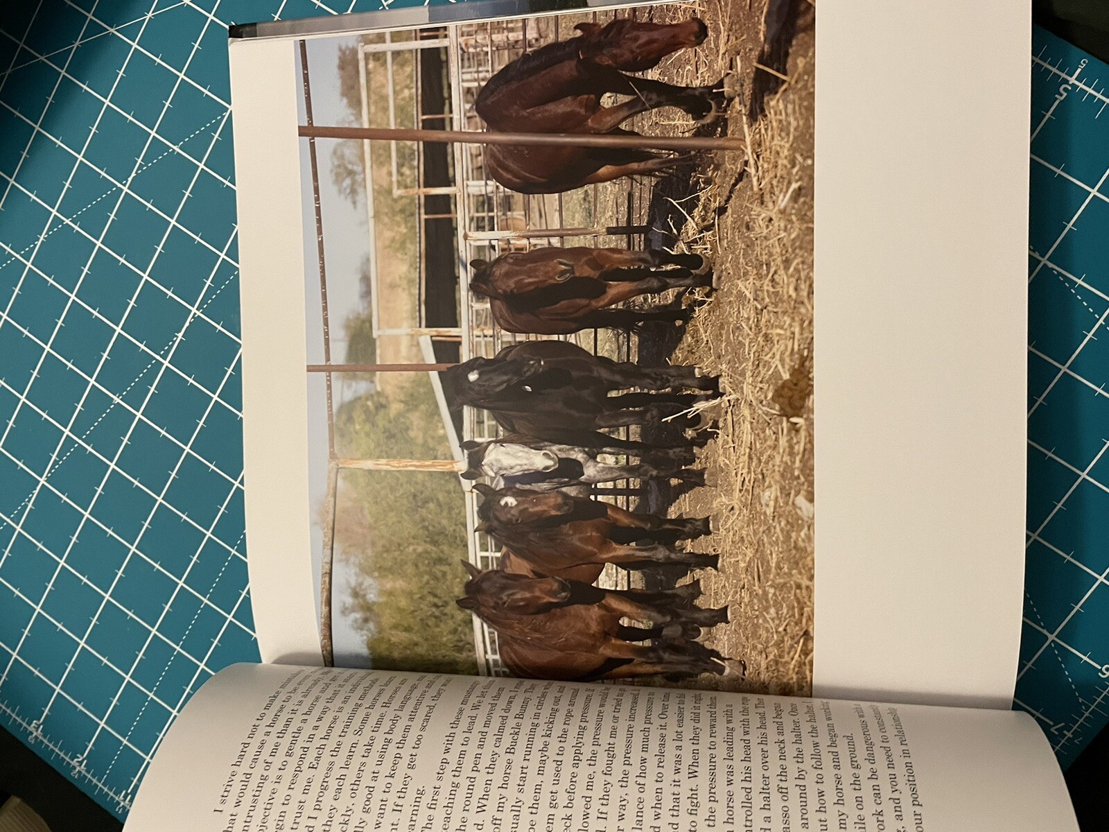 Unbranded by Ben Masters, Ben Thamer, Jonathan C. Fitzsimons, Thomas Glover and