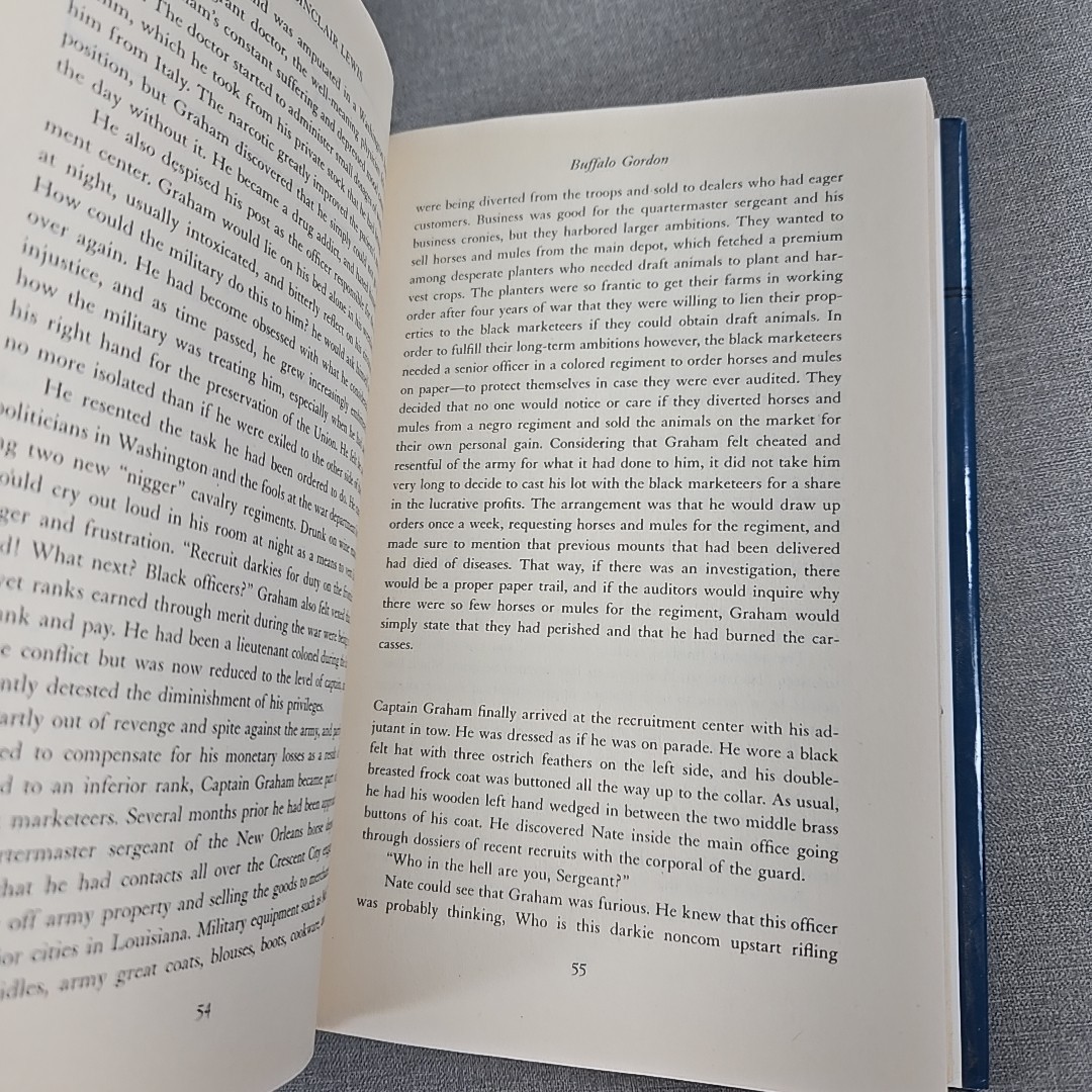 Buffalo Gordon J P Sinclair Lewis 2001 Vintage Hardcover Book HCDJ