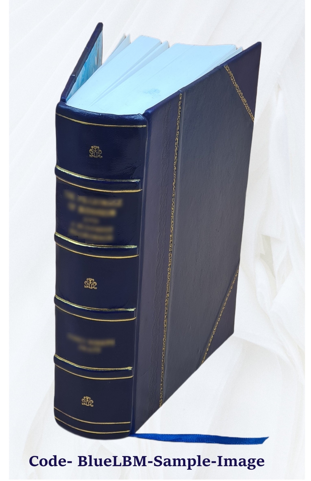 Encyclopaedia Of Superstitions Folklore And The Occult Sciences [Leather Bound]