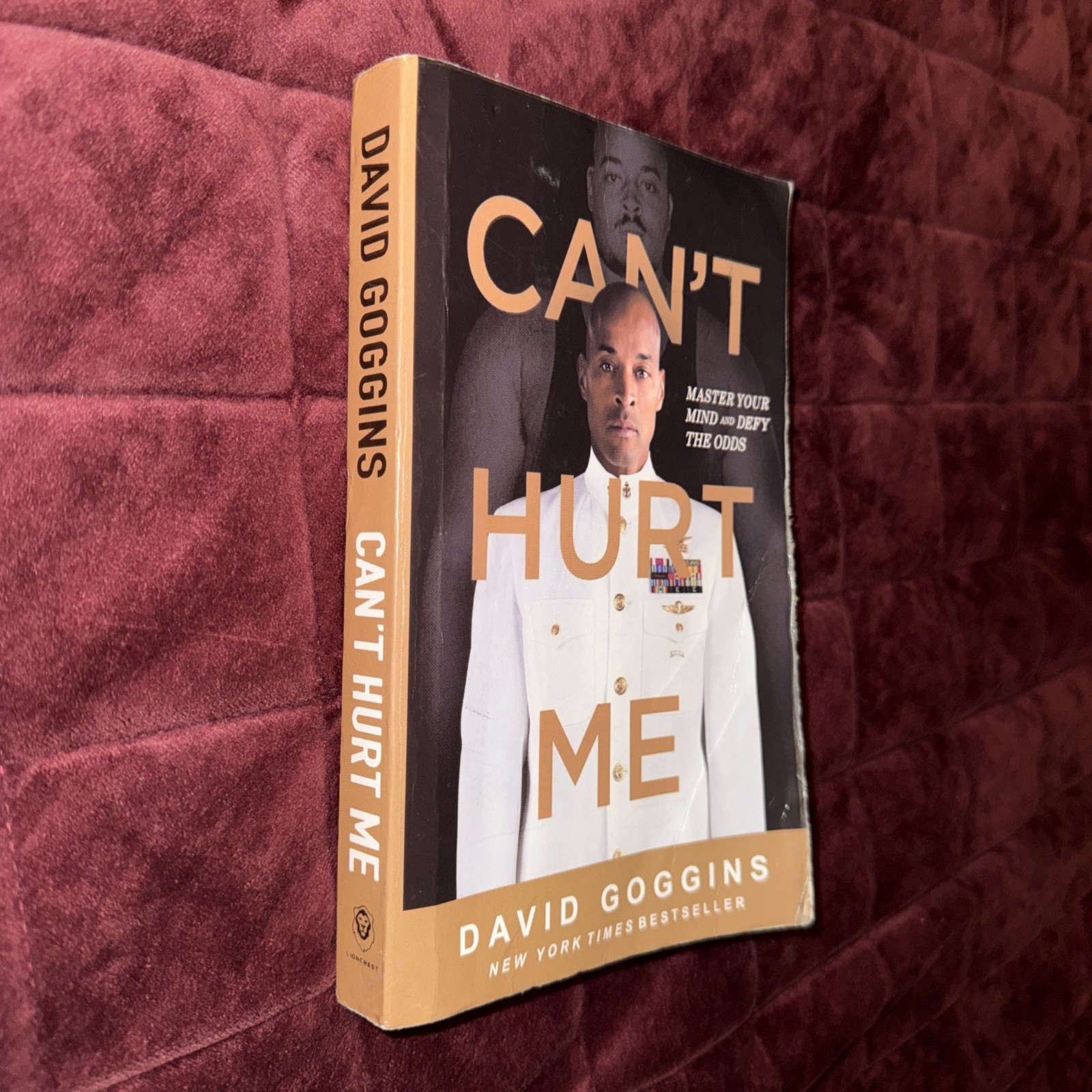 Can’t Hurt Me : Master Your Mind and Defy the Odds by David Goggins (2018,…