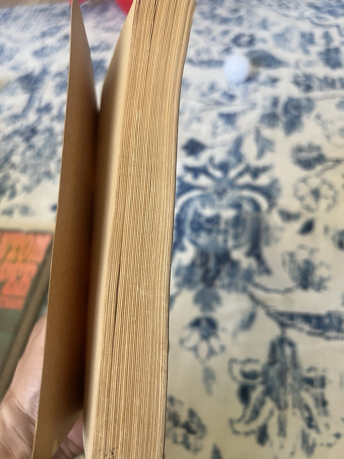 Kindred Octavia E Butler Vintage Paperback