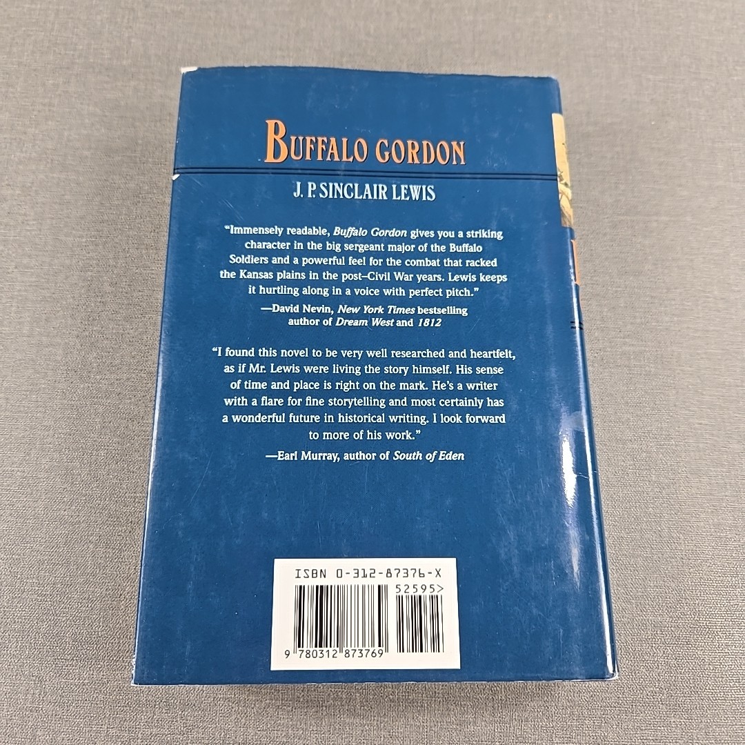 Buffalo Gordon J P Sinclair Lewis 2001 Vintage Hardcover Book HCDJ