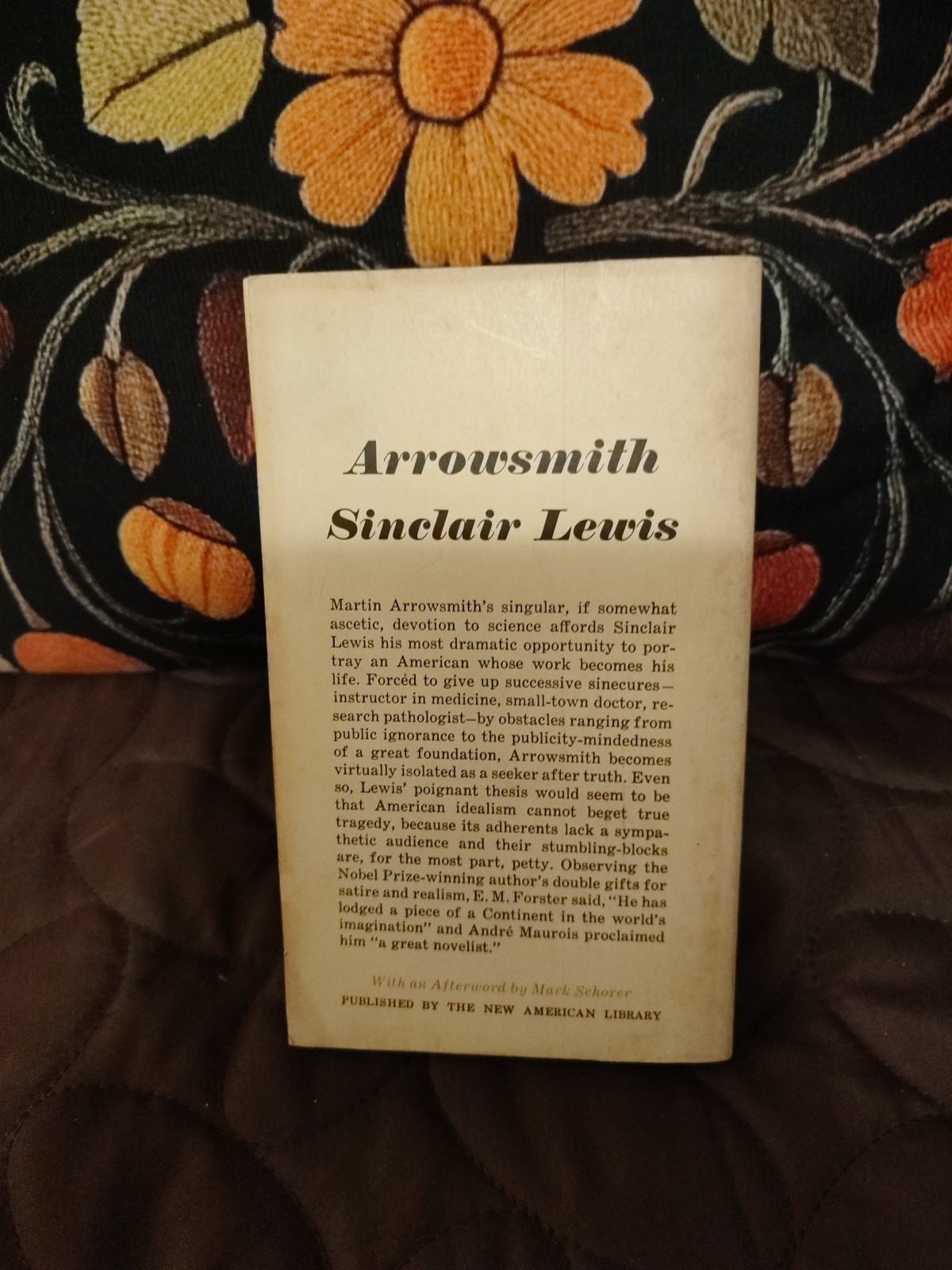 Arrowsmith by Sinclair Lewis 1961 American Classic Science Vintage 1st Signet Ed