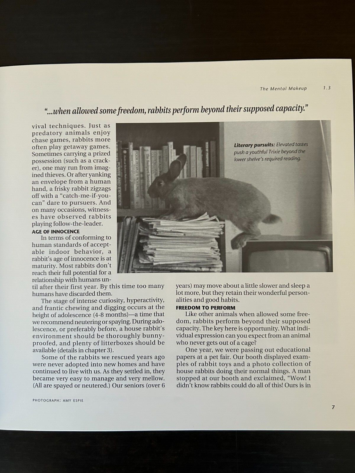 House Rabbit Handbook-How to live with an Urban Rabbit by Marinell Harriman