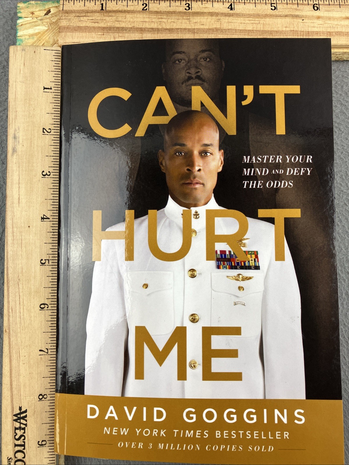 Can’t Hurt Me: Master Your Mind and Defy the Odds by David Goggins Paperback