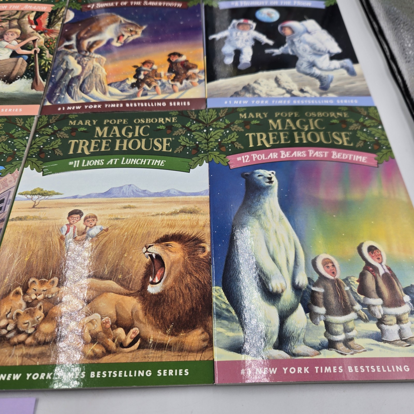 Magic Tree House 12 Book Set Books 1-12