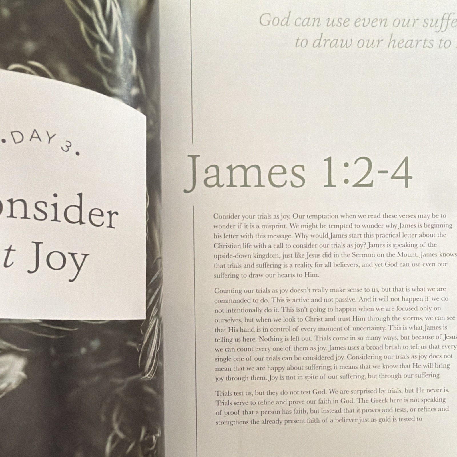 The Daily Grace Co. James: The Steadfast Life Schmucker PB 2017 Study Guide