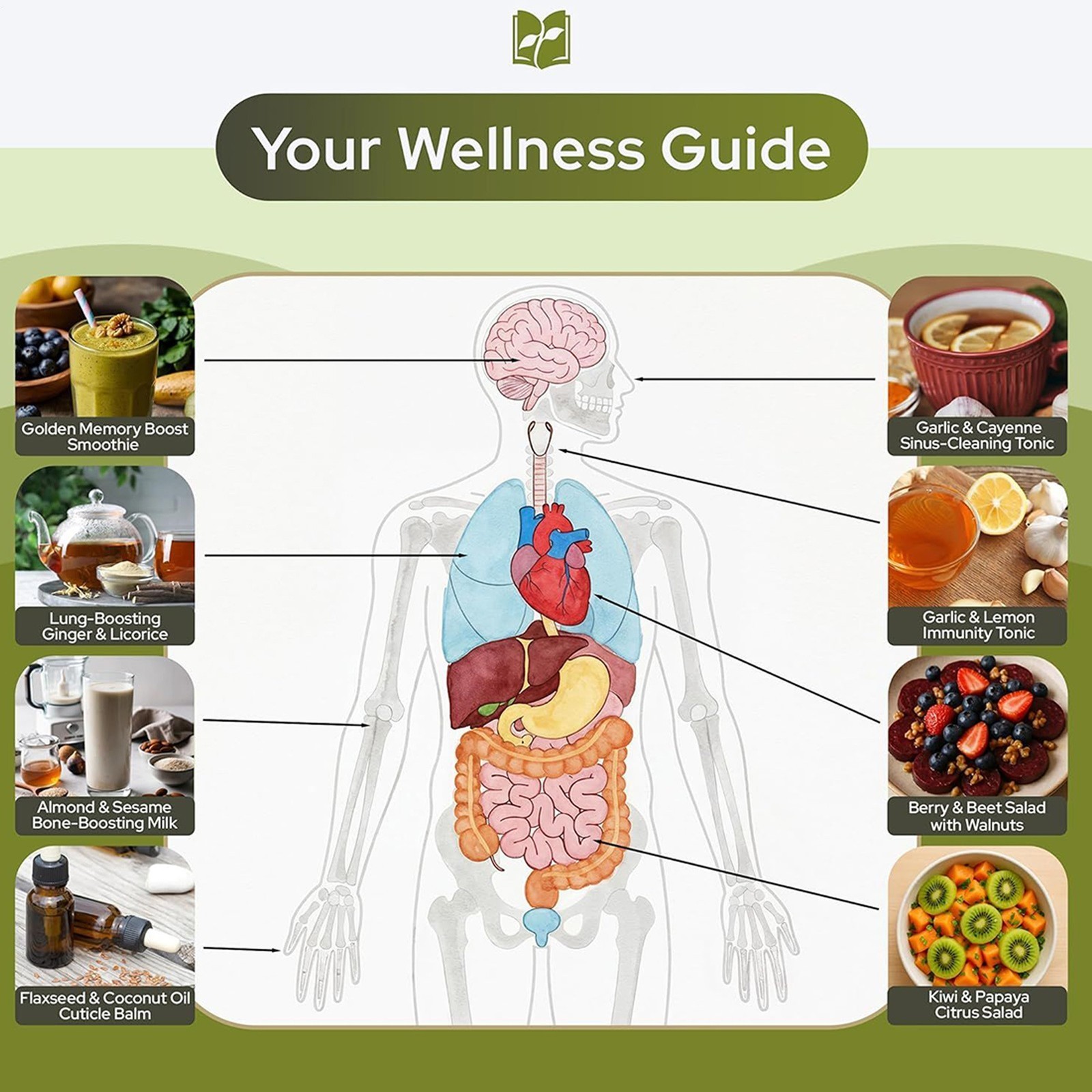 The Natural Healing Handbook Guide for Herbal Remedies and Natural -US Stock