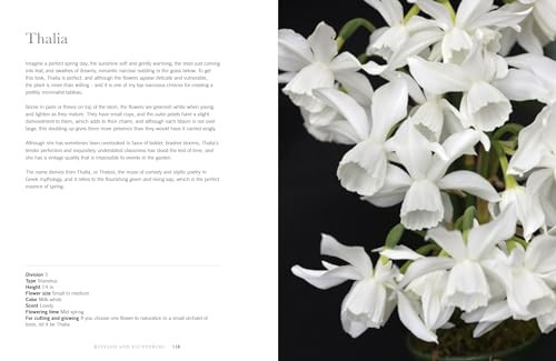 Daffodils: Beautiful Varieties for Home and Garden (Flowers), Slade, Naomi, Exce