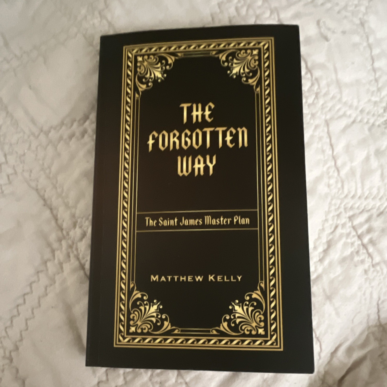 Matthew Kelly The Forgotten Way: The Saint James Master Plan Paperback Saints