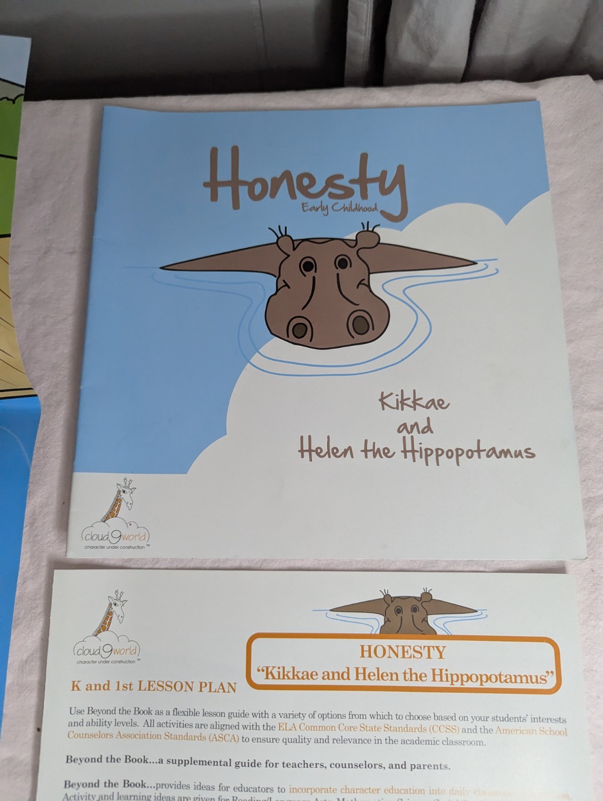 Home School Teachers Cloud 9 world character book HONESTY K-1st grade poster kit