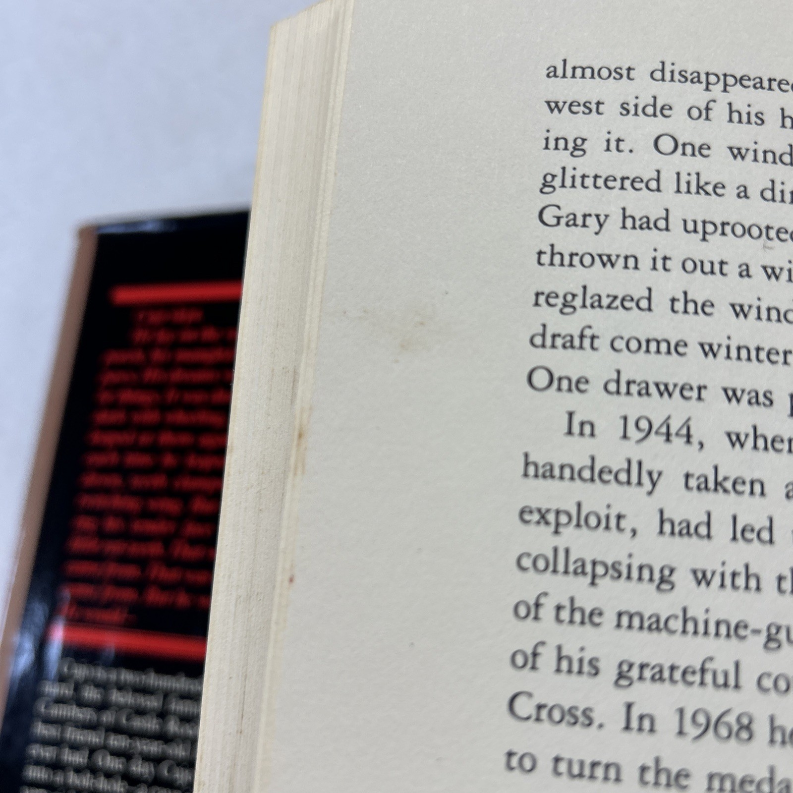 Cujo by Stephen King HC 1981 1st Ed