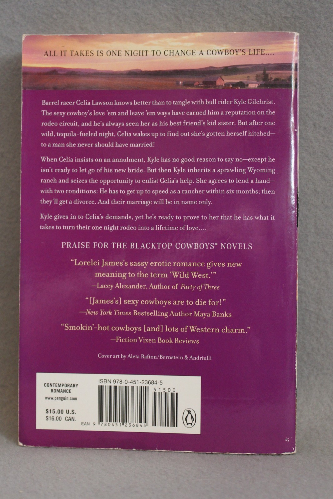 Blacktop Cowboys Series 14 Titles in 12 PBs Lorelei James PB Novellas USED Good
