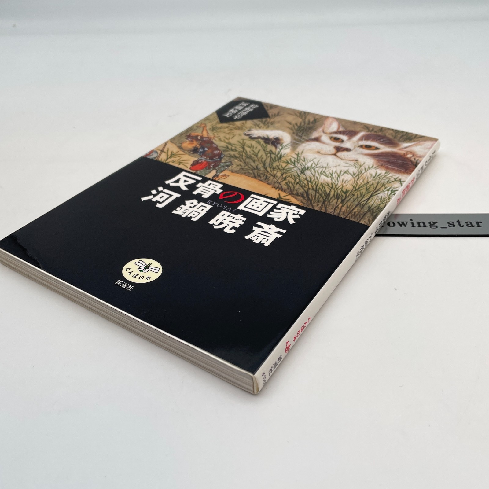 Kawanabe Kyosai Art Collection Book Ukiyo-e Illustration Japanese 126 pages