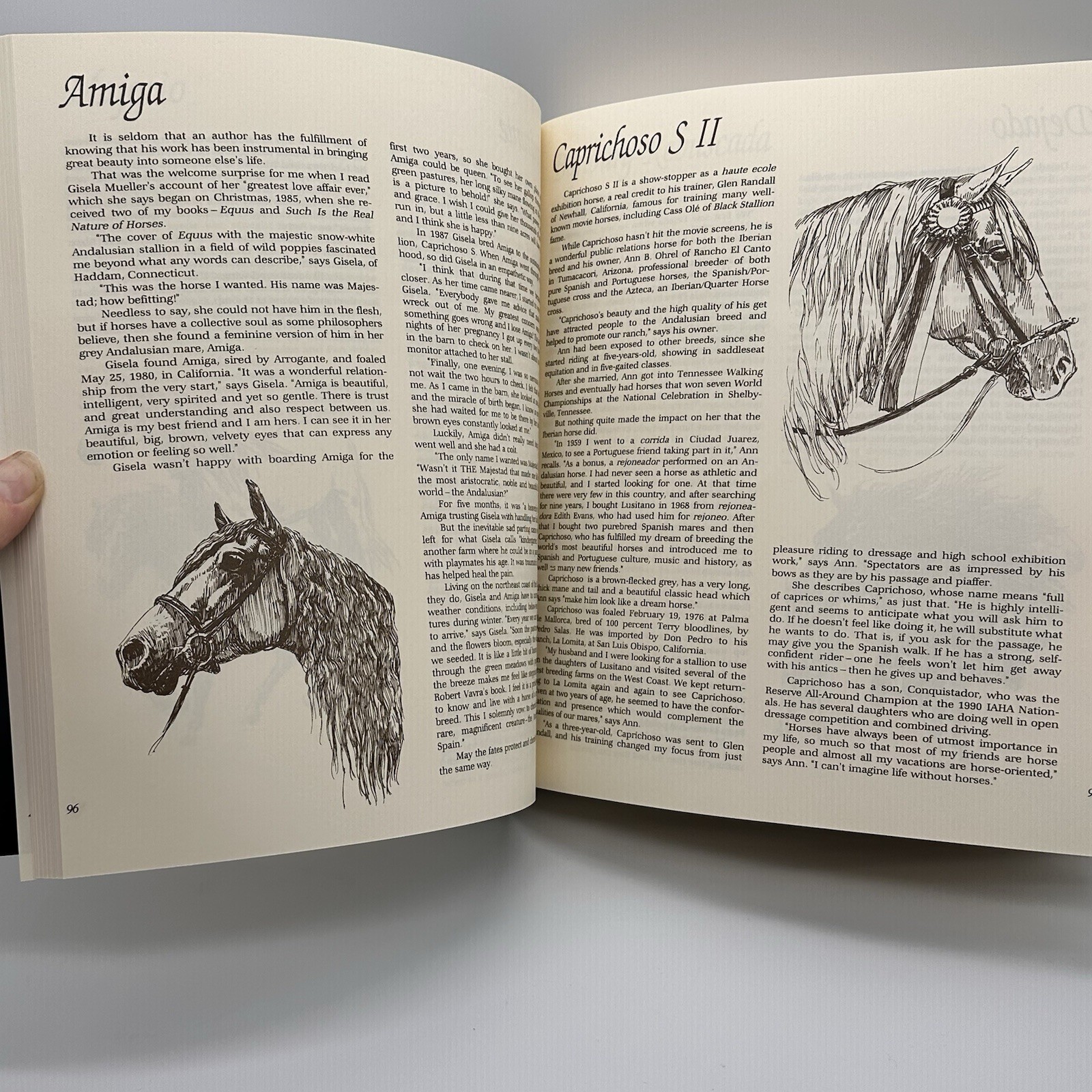 Classic Book of Horses Robert Vavra’s 1st Edition 1992 Hardcover DJ 359 Pages.