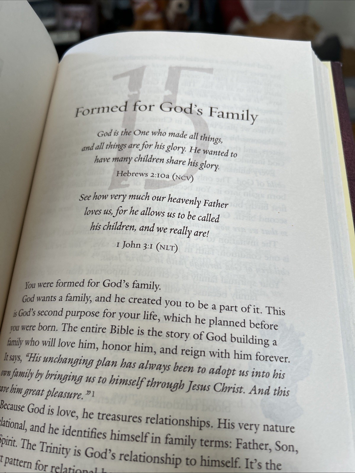 What on Earth Am I Here For? by Rick Warren (2002, Hardcover)