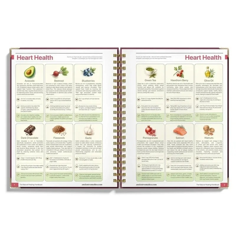 The Natural Healing Handbook, Spiral-Bound Guide for Herbal Remedies and Natural