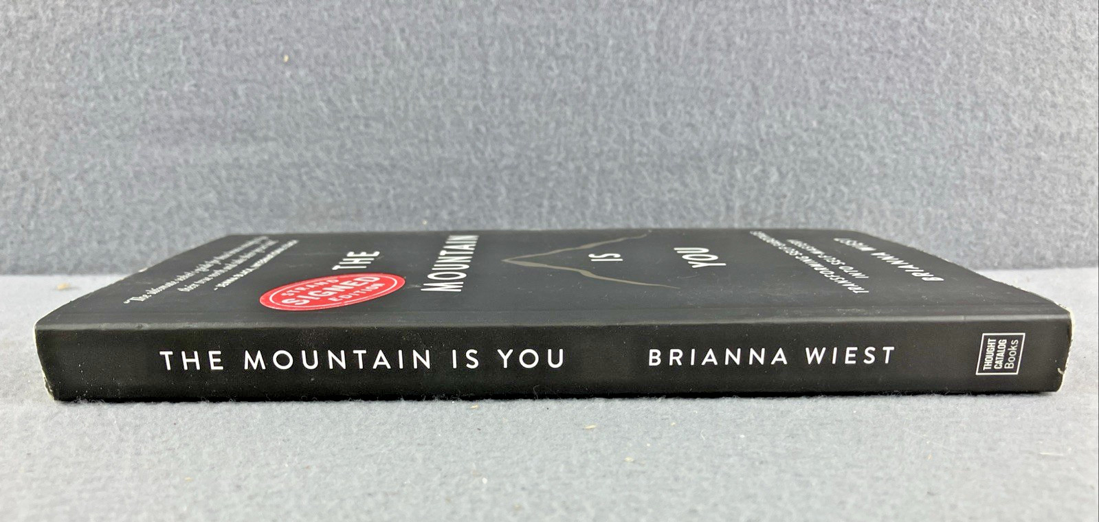 The Mountain Is You: Transforming Self-Sabotage Into Self-Mastery ** SIGNED COPY