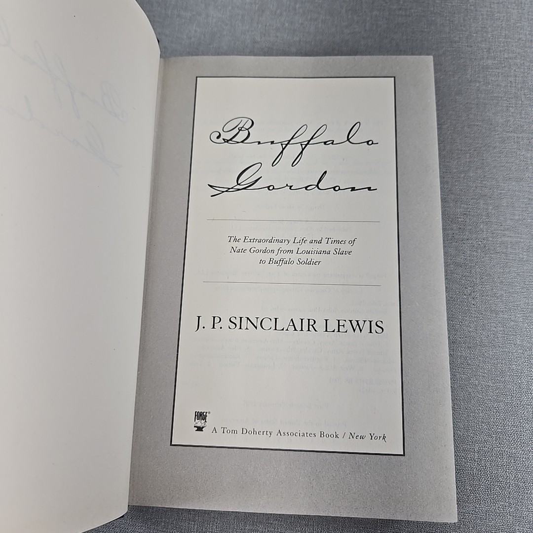 Buffalo Gordon J P Sinclair Lewis 2001 Vintage Hardcover Book HCDJ