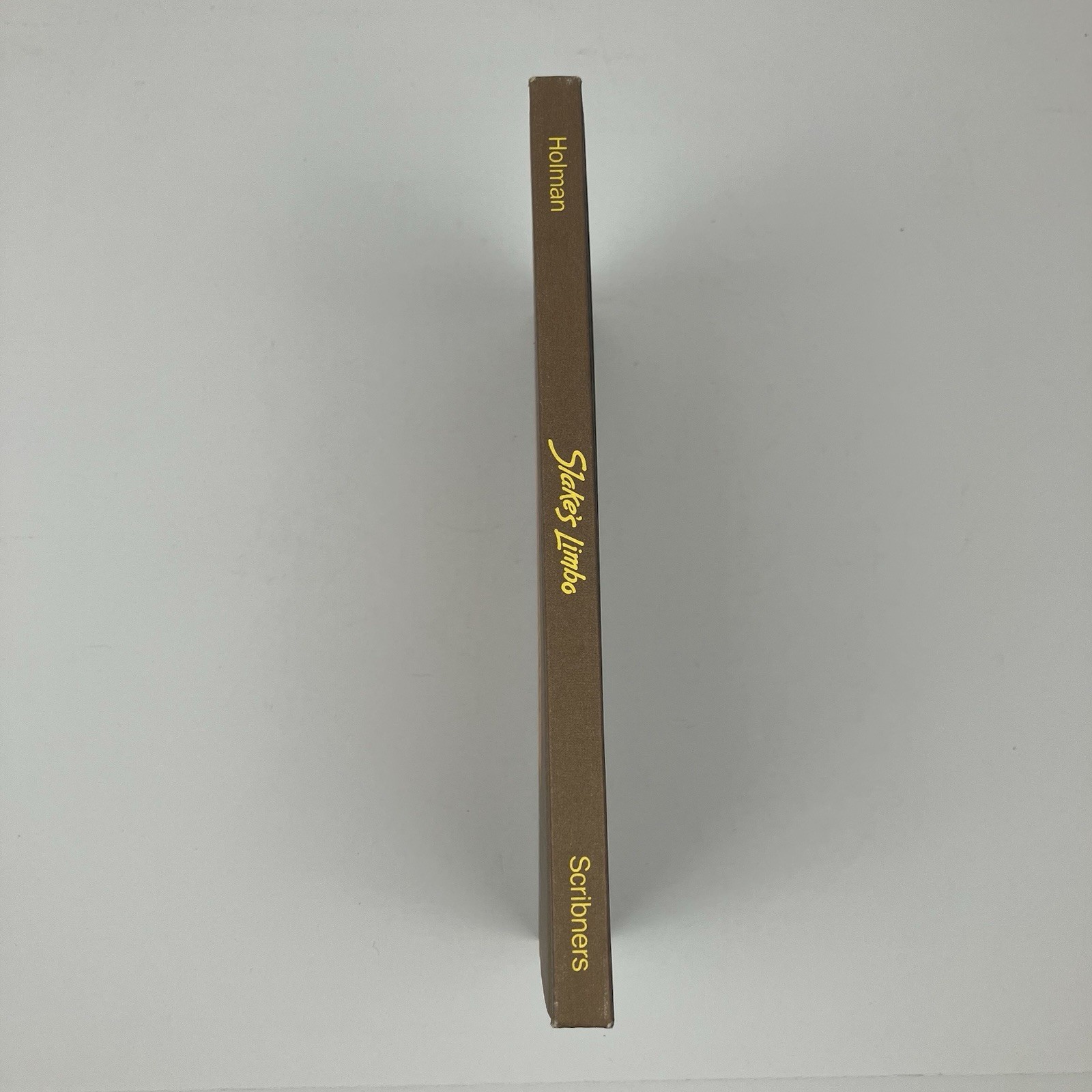 VTG “Slake’s Limbo” By Felice Holman / Hardcover / 1974 / First Edition