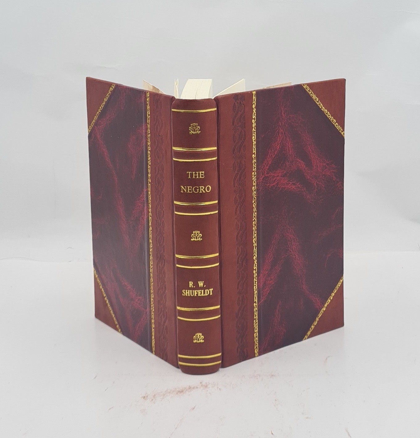 The Negro a menace to American civilization 1907 R. W. Shufeldt [LEATHER BOUND]