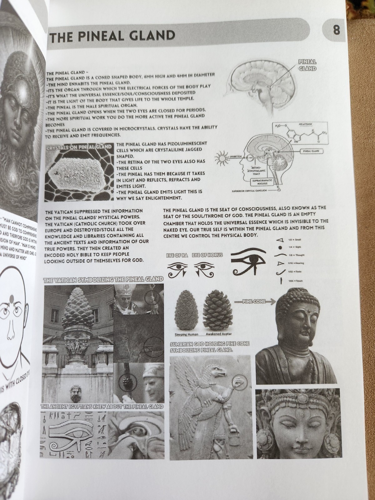 Health Guide 20 + Book of Wisdom Vol 1 & 2 by Harry B. Joseph – 3 Book BUNDLE