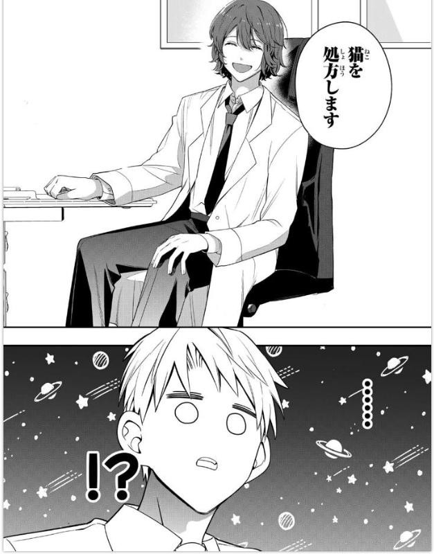 We’ll Prescribe You a Cat Vol. 1 Japanese Manga Comic Edition by Syou Ishida