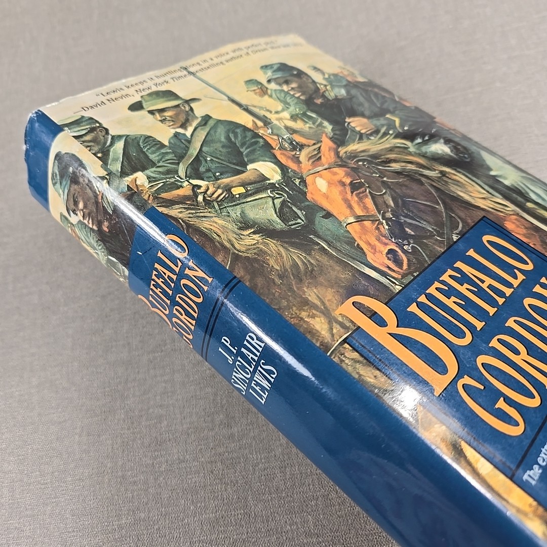 Buffalo Gordon J P Sinclair Lewis 2001 Vintage Hardcover Book HCDJ