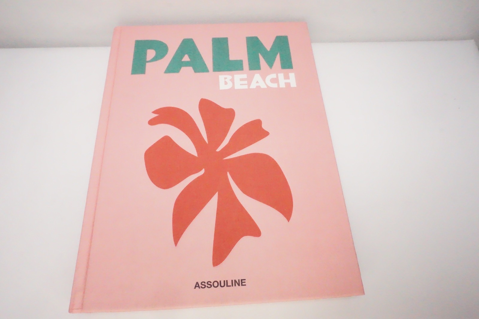 Palm Beach by Aerin Lauder (2019, Hardcover)
