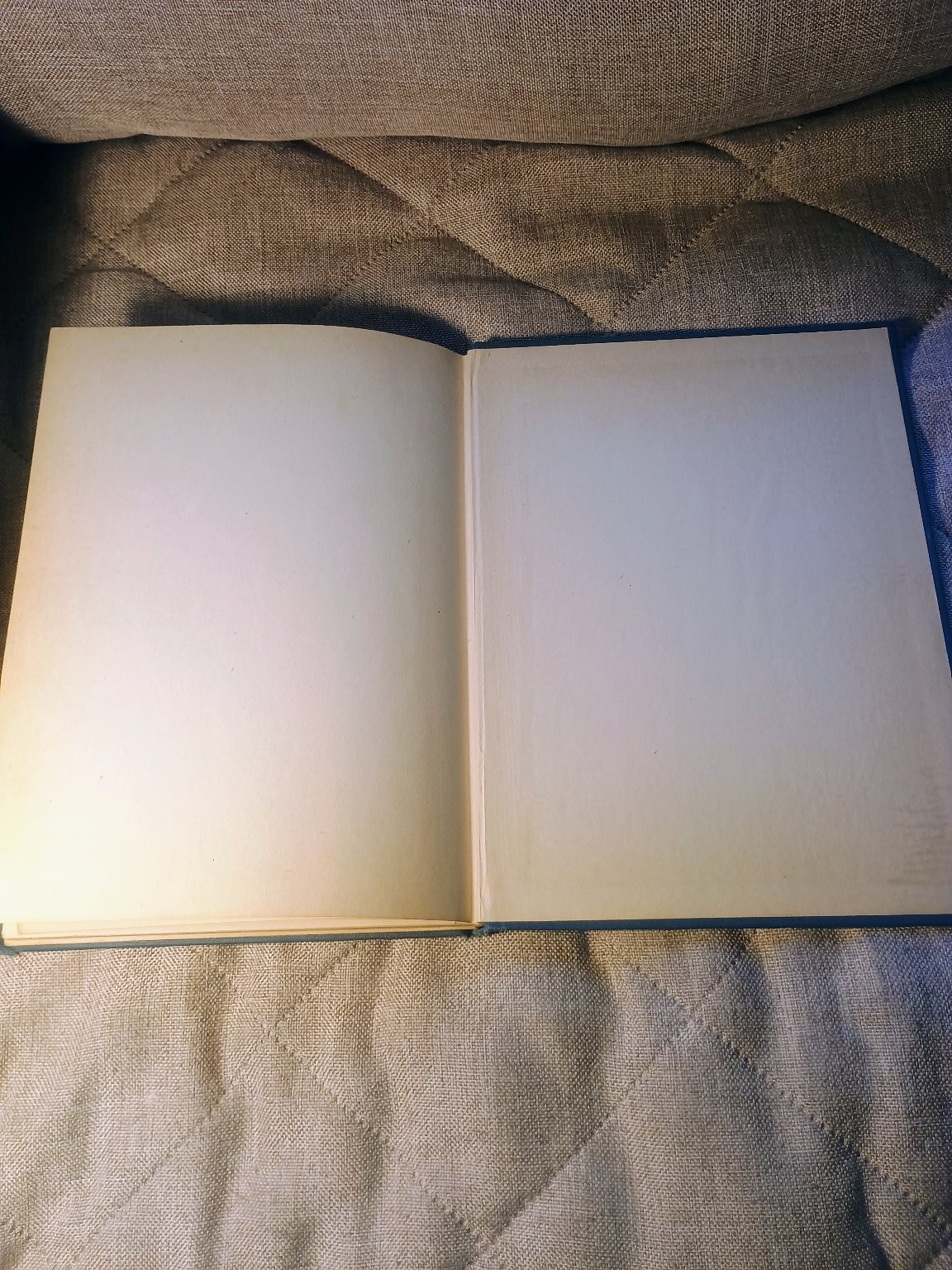 The Forgetful Letter B Richard A. Clarke 1922 Vintage Children’s Illustrated