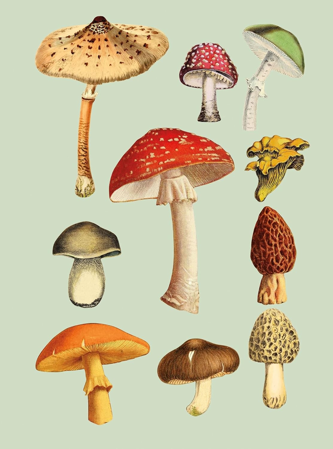 The Antiquarian Sticker Book: Over 1,000 Exquisite Victorian Stickers