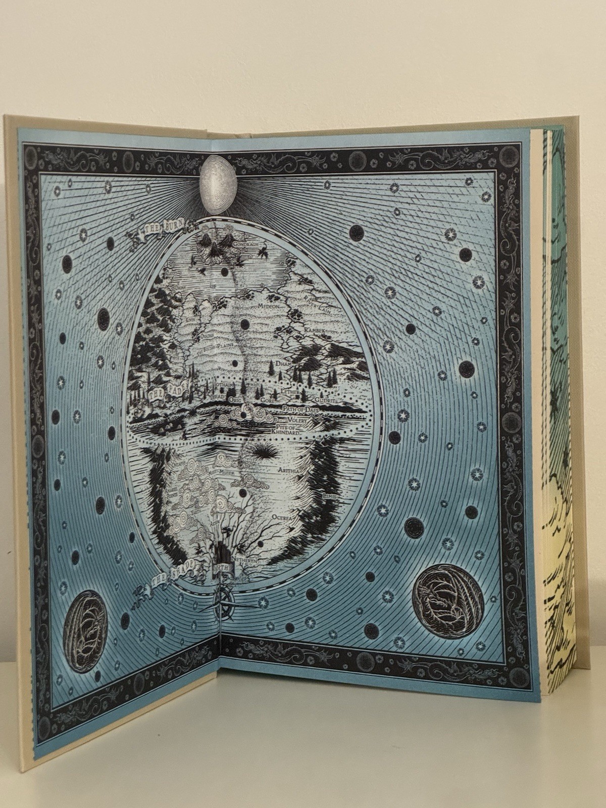 When The Moon Hatched SIGNED Deluxe Special Edition Hardcover Aus Sarah A Parker