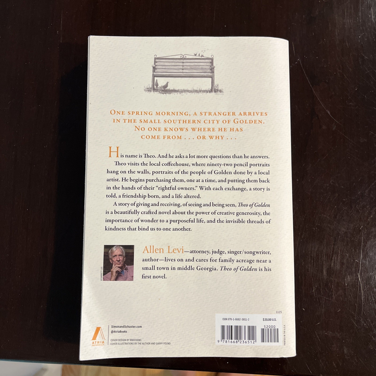 Theo of Golden by Allen Levi 2023 Paperback English Edition – LIKE NEW