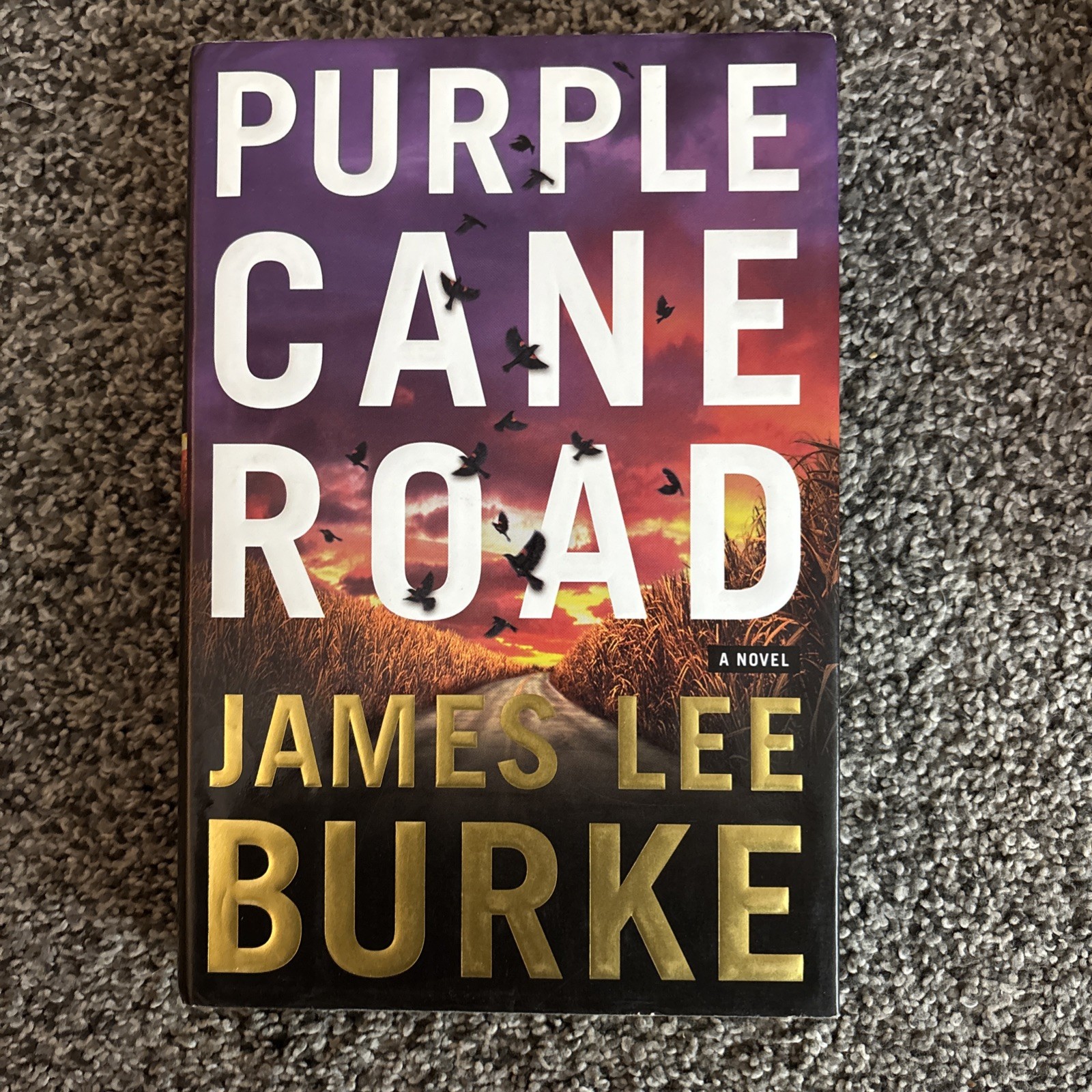 Dave Robicheaux Lot of 5 Hardcovers by James Lee Burke. Early 2000s 1st Editions