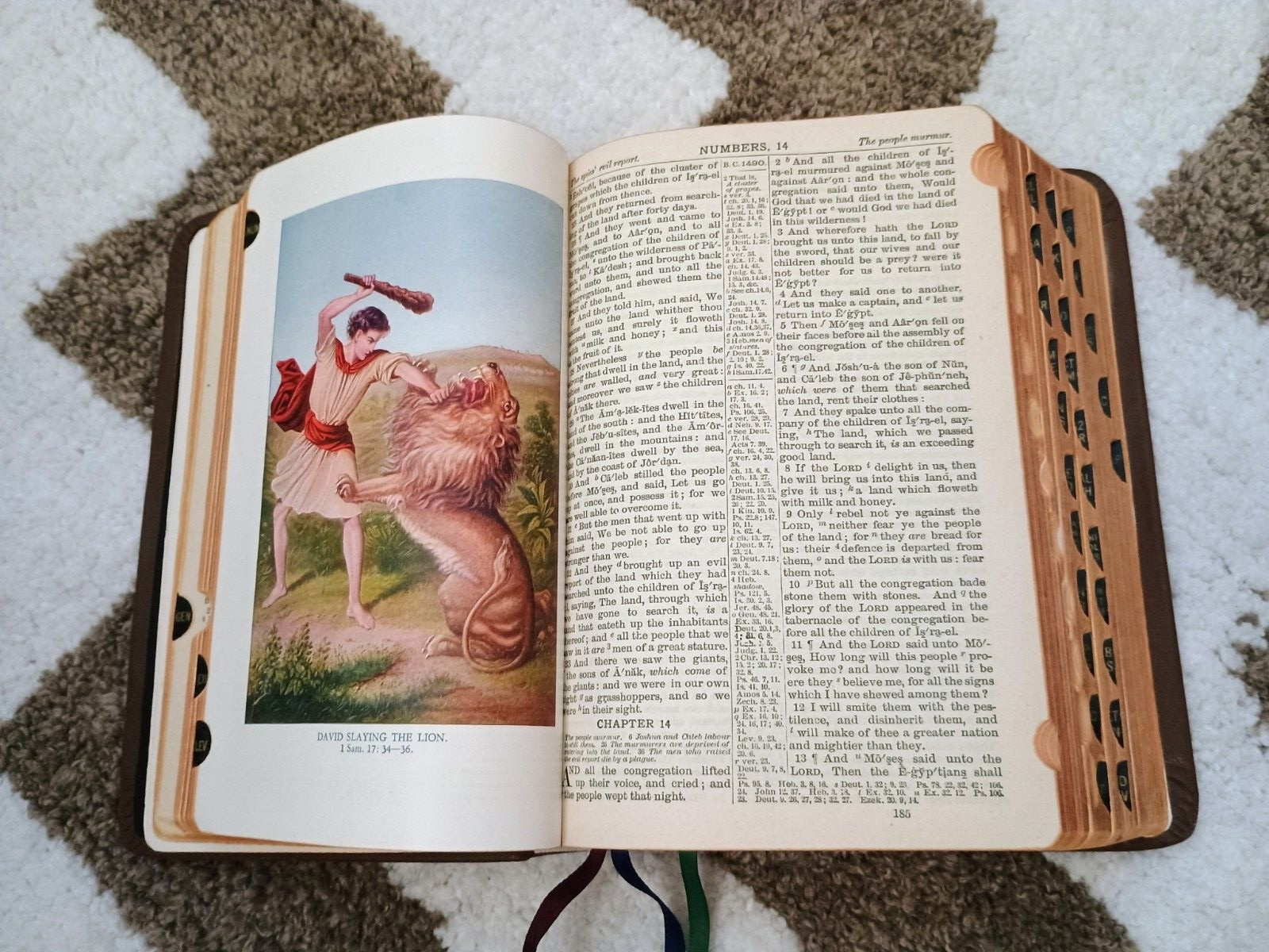 HOLY BIBLE King James KJV National Bible Press Brown THUMB INDEX Words In Red