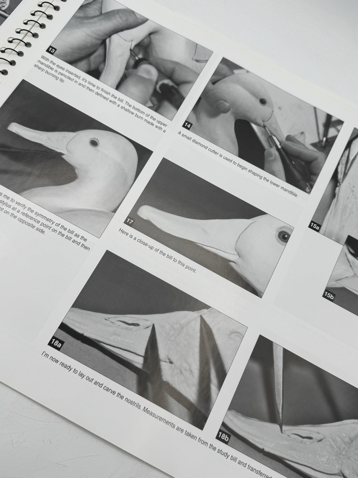 Workbench Projects DECORATIVE CANVASBACK PAIR Wildfowl Carving Magazine