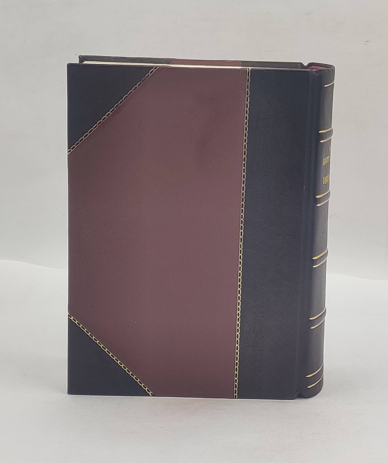 Pomeroy’S Equity Jurisprudence And Equitable Remedies [Leather Crafted]