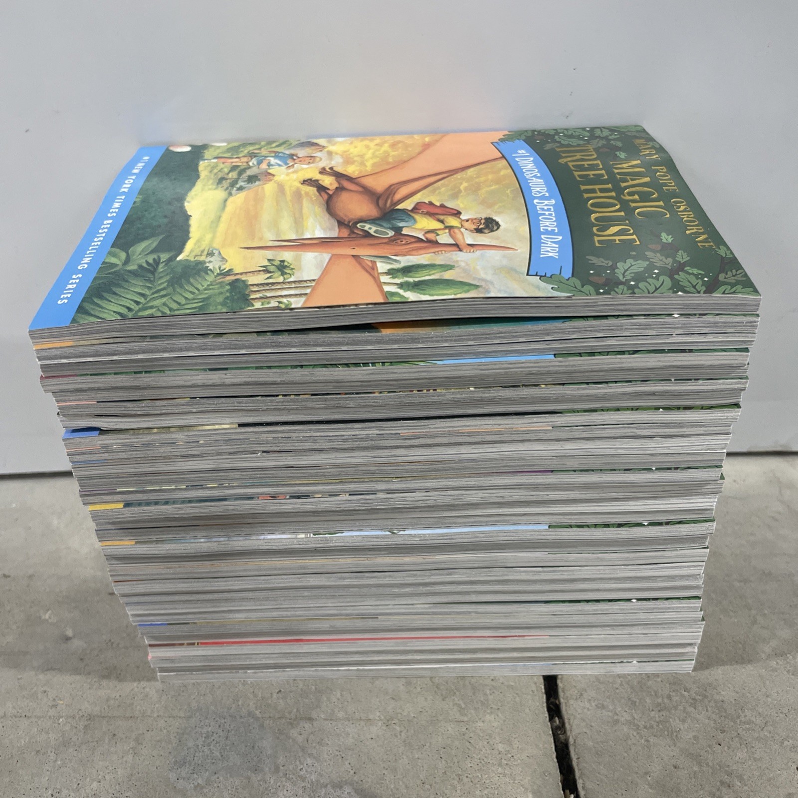 Magic Tree House 1–28 Box Set – Complete 28-Book Collection