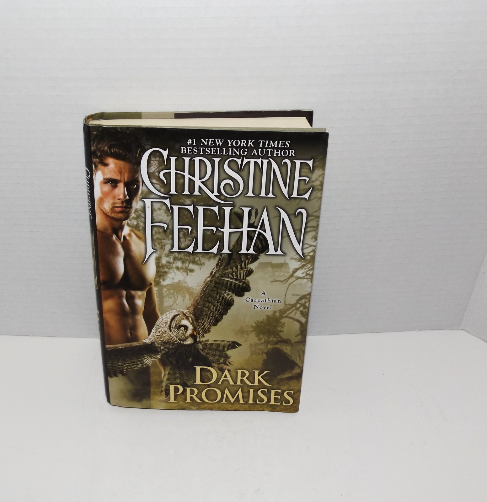 Dark Series Novels #26-30 Adult Paranormal Romance Christine Feehen