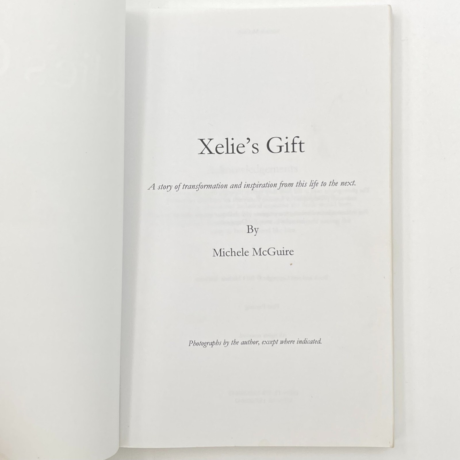 Xelie’s Gift by Michele McGuire (2014, Trade Paperback) GC 272 pages