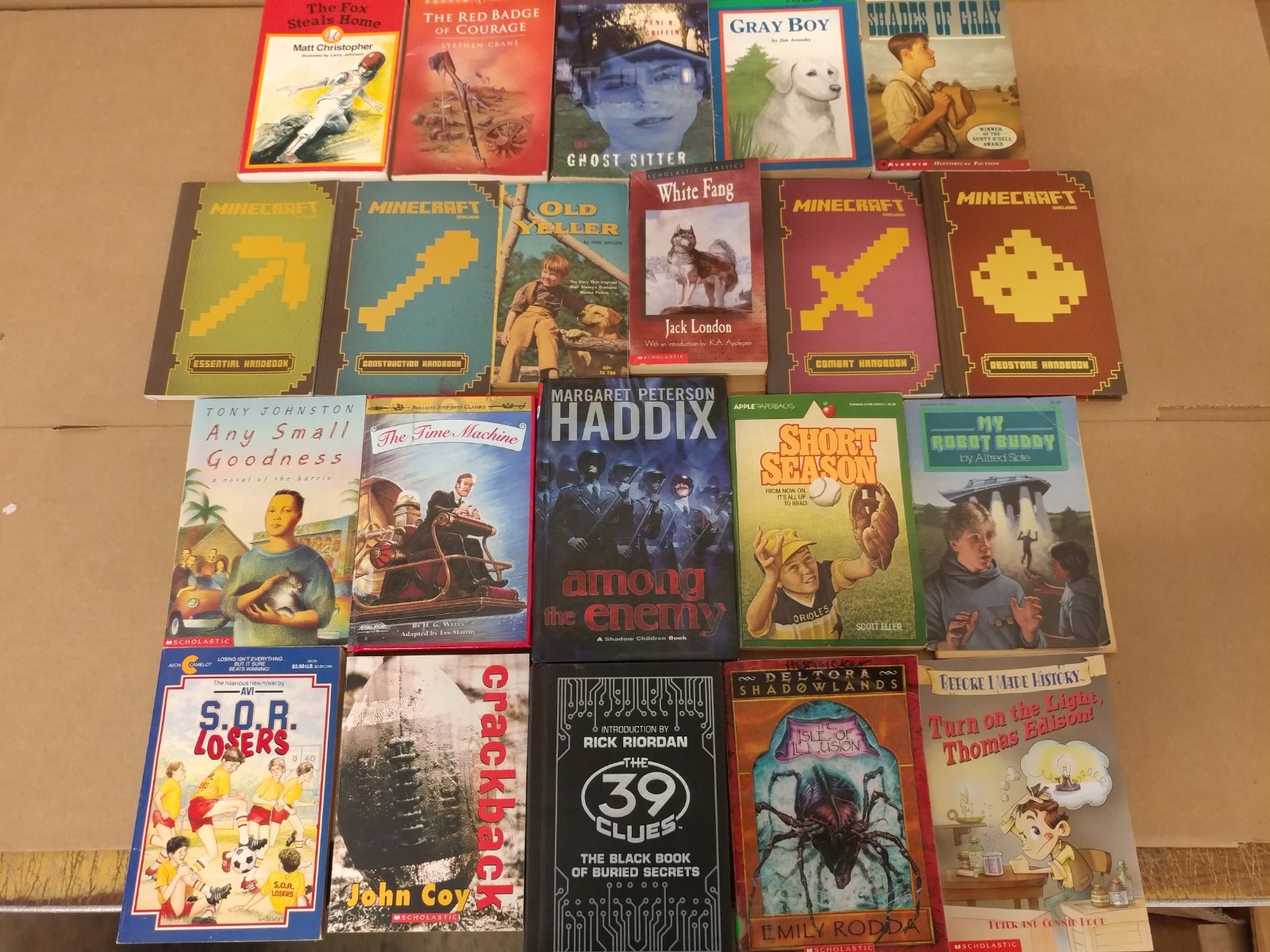 Lot of 20 Chapter Books for BOYS Youth Early Reader Young Adults Children RANDOM
