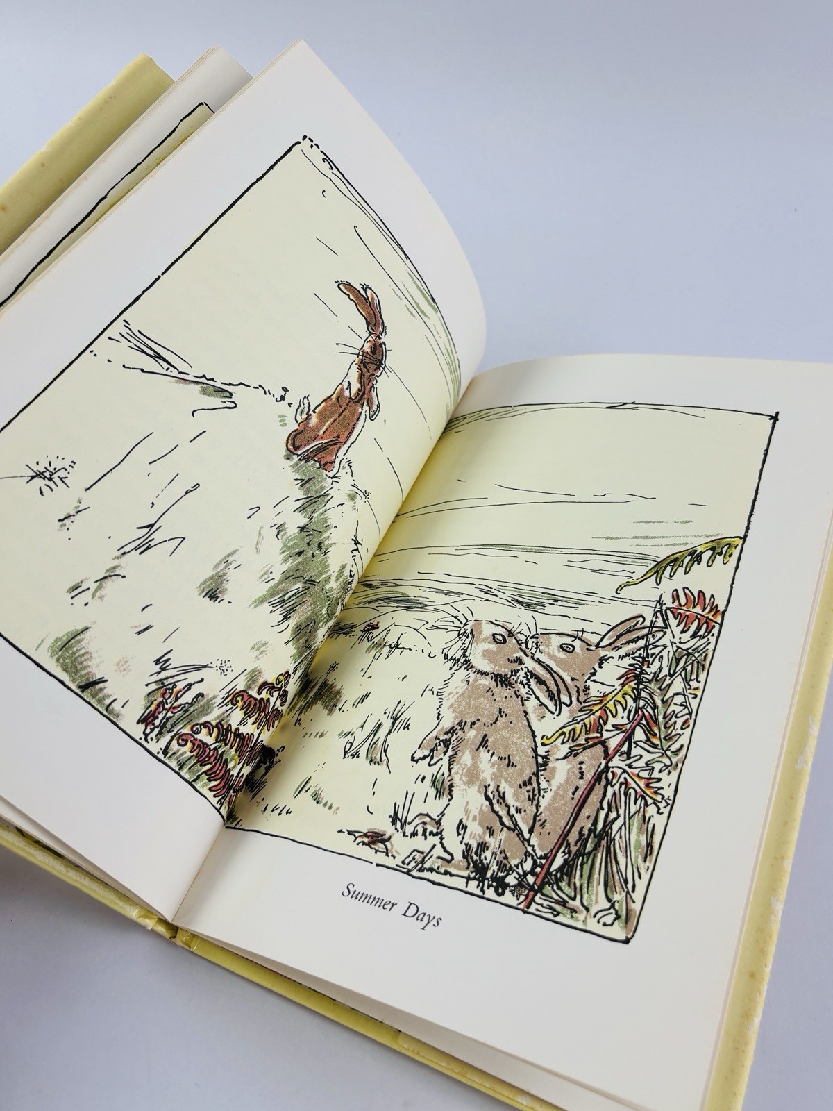 The Velveteen Rabbit Margery Williams 1980s Doubleday HCDJ Original 1922 Art
