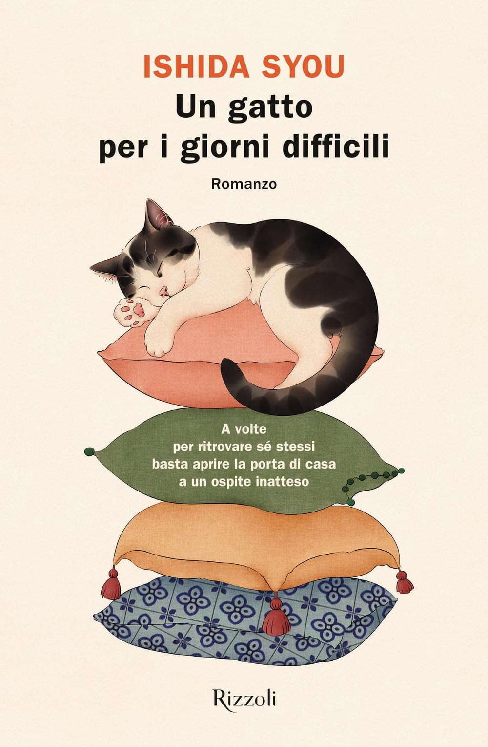 Syou Ishida Raffaele Pap Un gatto per i giorni difficil (Paperback) (UK IMPORT)
