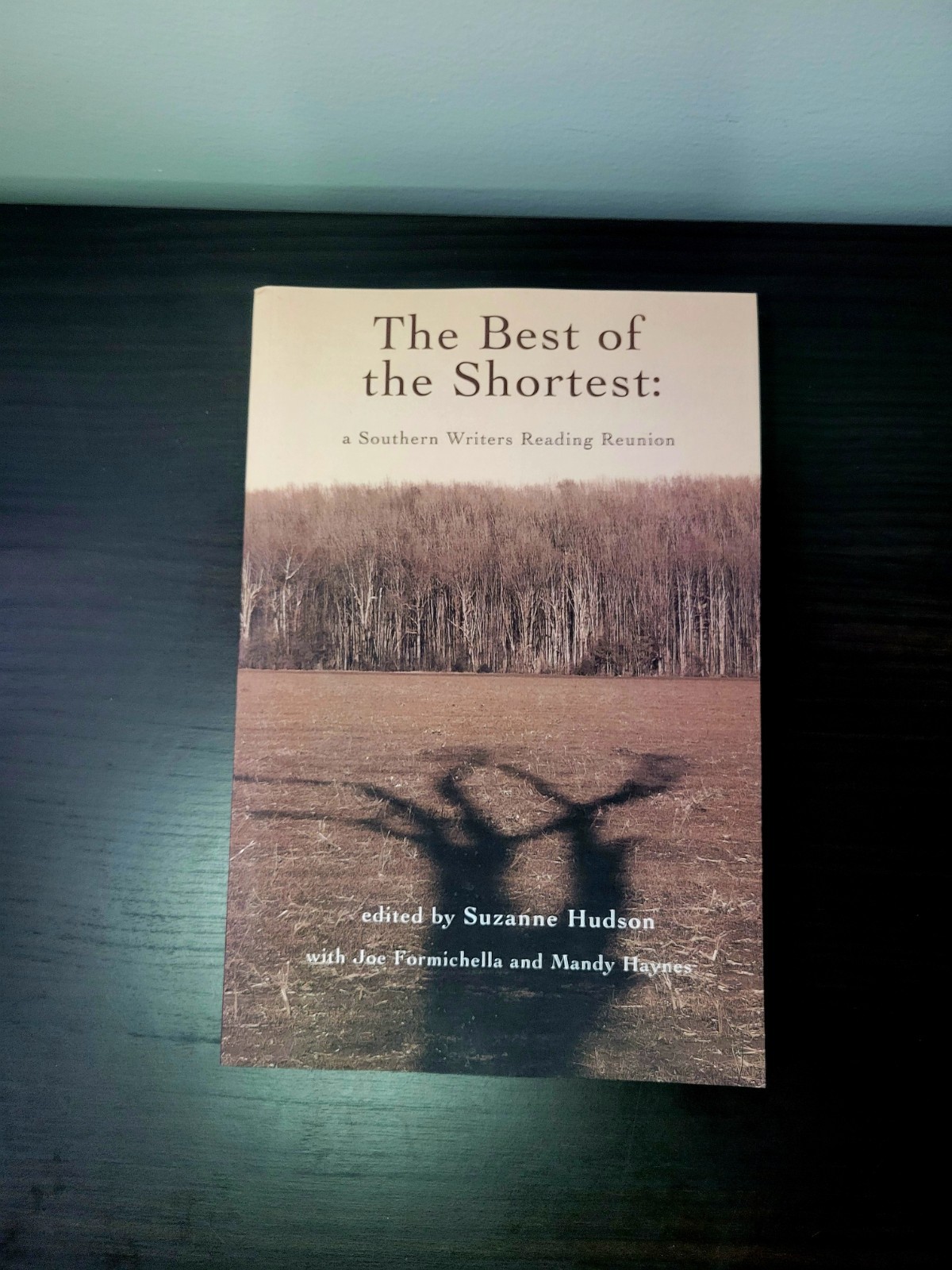 The Best of the Shortest: A Southern Writers Reading Reunion Paperback 2023