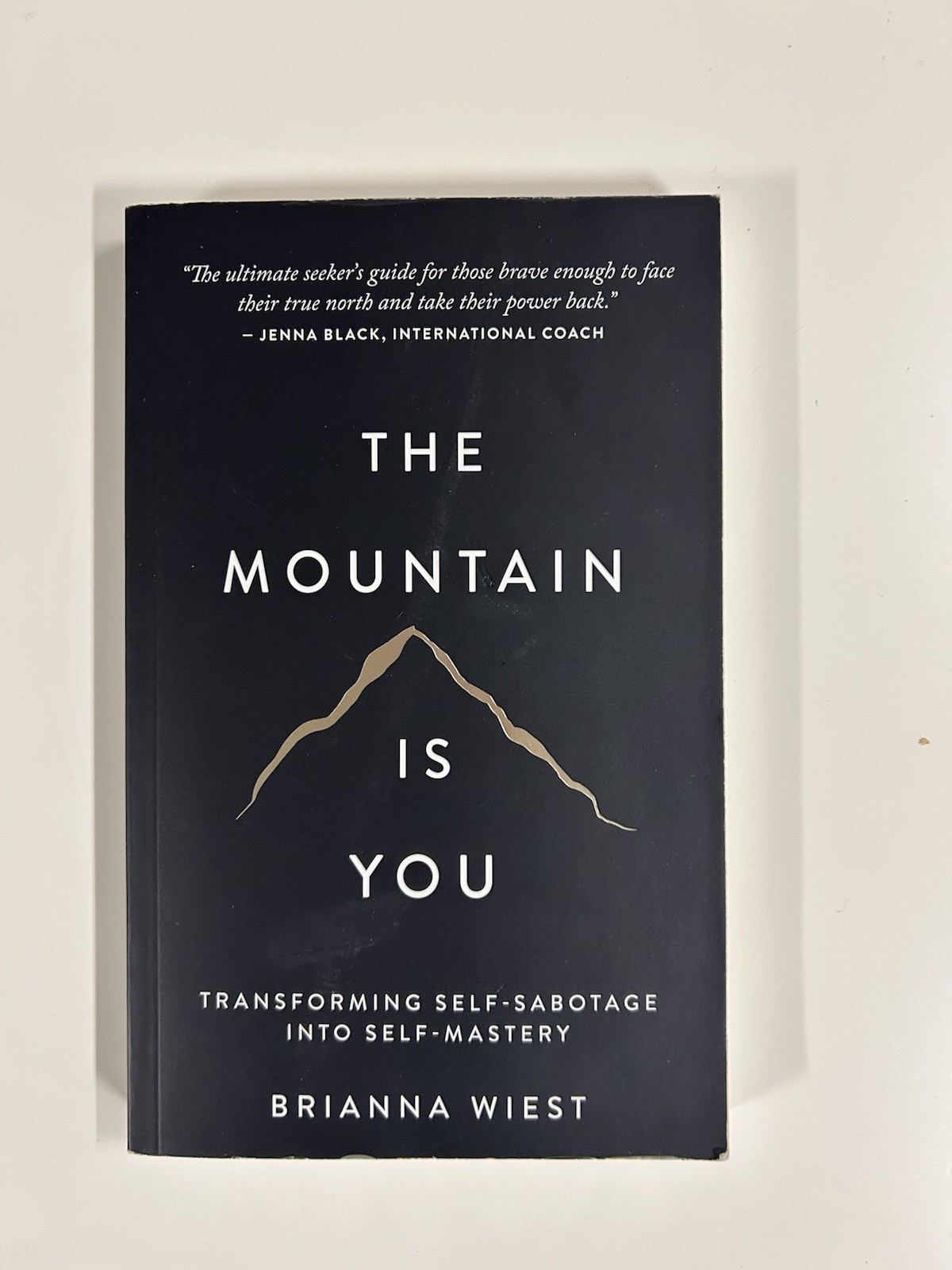 The Mountain is You By Brianna Wiest Self Help Mastery Paperback