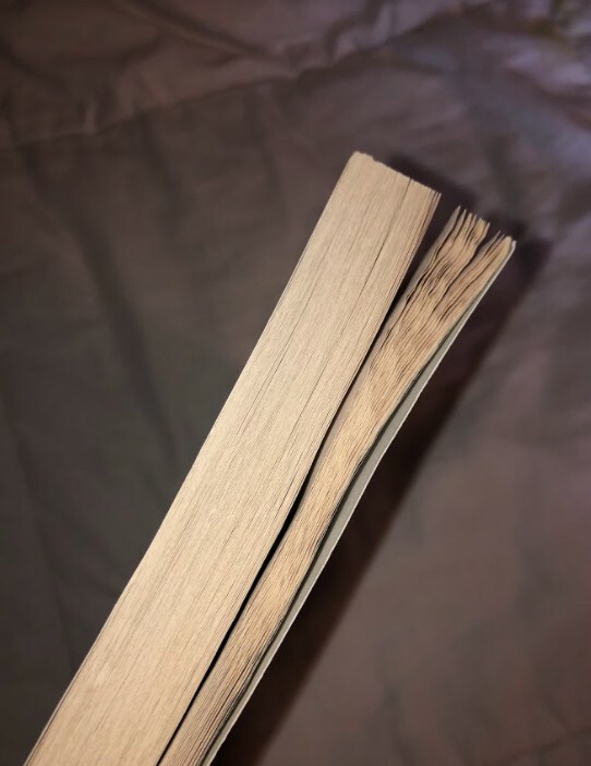 The Third Twin by CJ Omololu Matte Soft Cover Paper Back