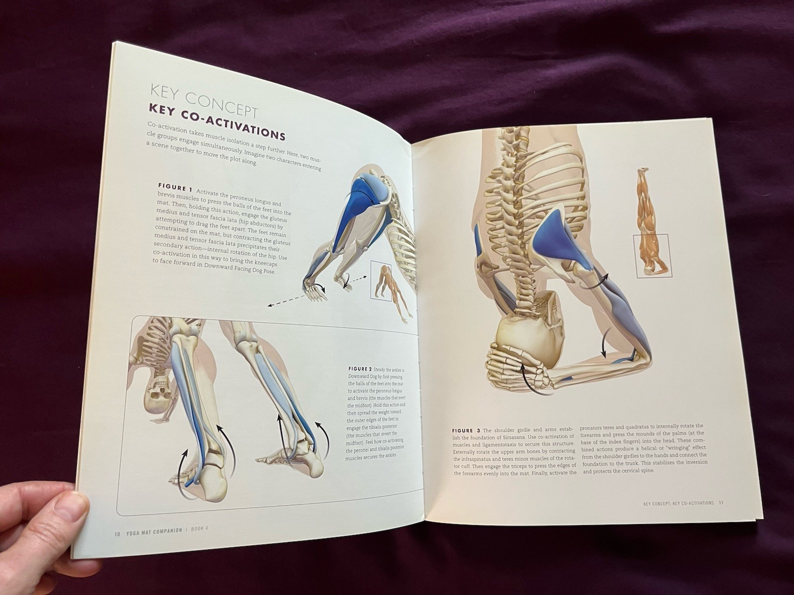 Yoga Mat Companion Vol. 1-4 Book LOT/SET, Ray Long, Anatomy For Vinyasa Flow…