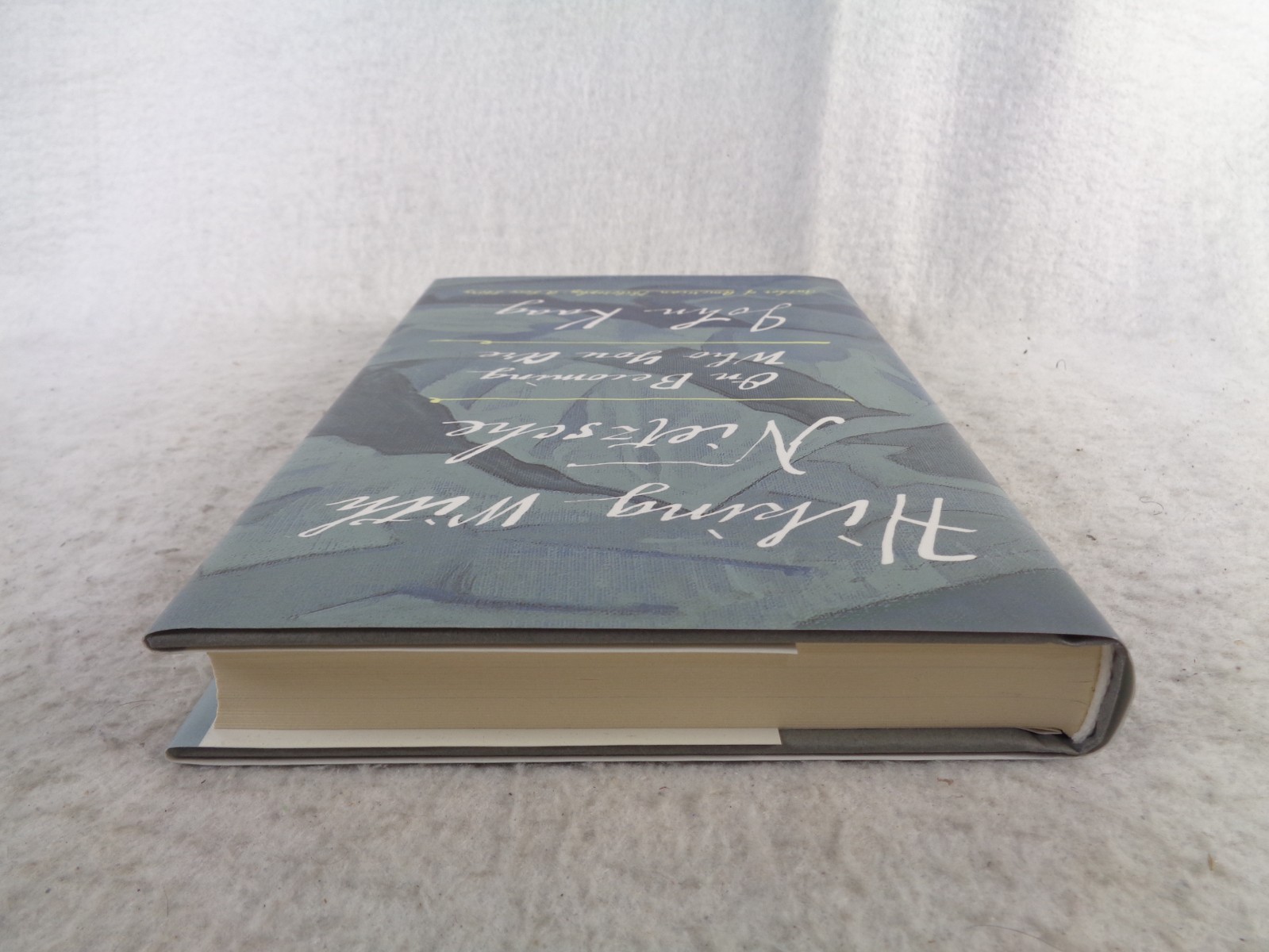 Hiking with Nietzsche On Becoming Who You Are John Kaag HC DJ 1st Ed 2018 Book