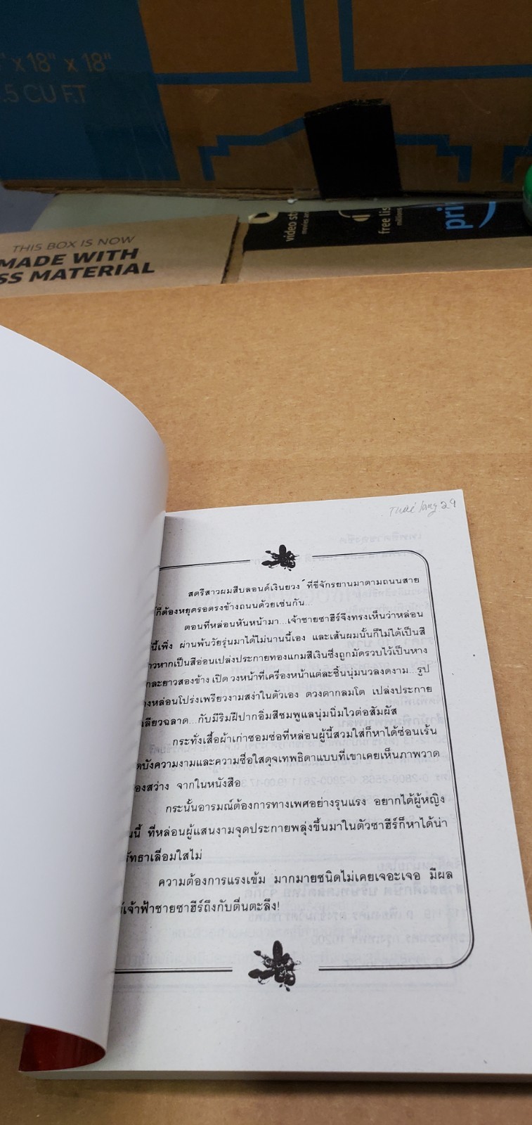 Thai Language #29; book; romance; paperback see scans for title and author novel